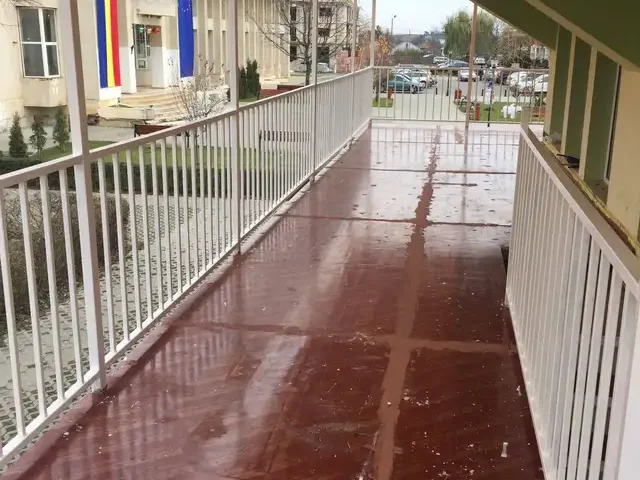 Canopies 4